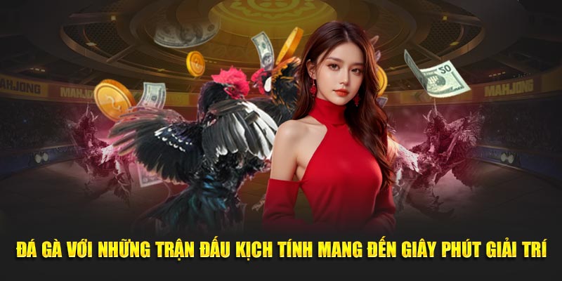 Giới thiệu new88